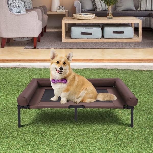 elevated dog bed with bolster