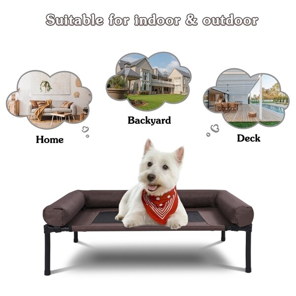 elevated cooling dog bed