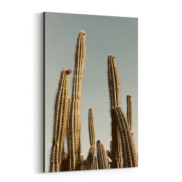 Noir Gallery Desert Cactus Nature Photography Canvas Wall Art Print