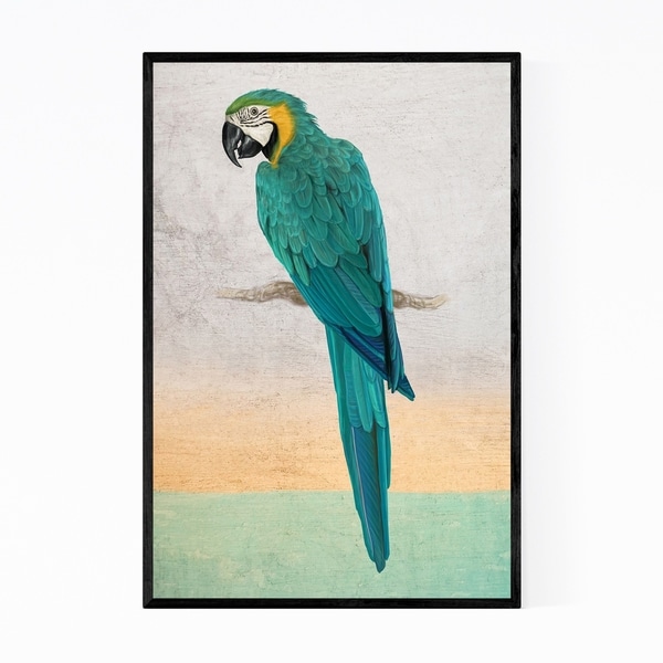 Noir Gallery Tropical Macaw Bird Animal Nature Framed Art Print