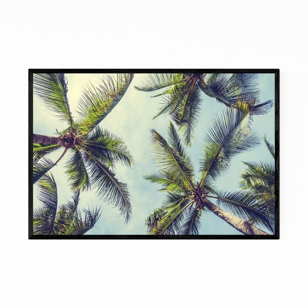 Noir Gallery Palm Tree Leaves Nature Coastal Framed Art Print