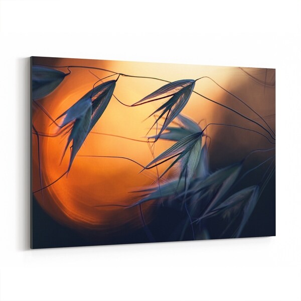 Noir Gallery Floral Botanical Photography Canvas Wall Art Print