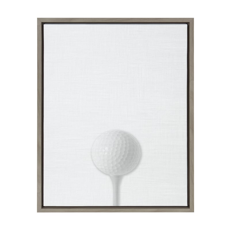 DesignOvation Sylvie Golf Ball Portrait Framed Canvas - 18x24 - Plastic - Grey