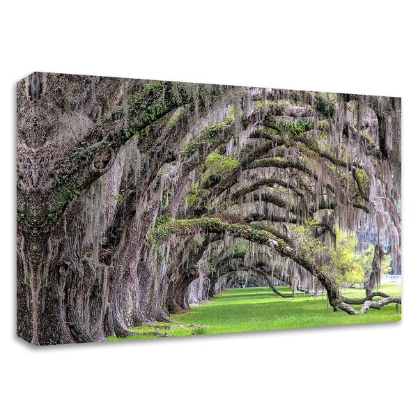 "Hanging to the Right" by Daniel Burt, Print on Canvas, Ready to Hang