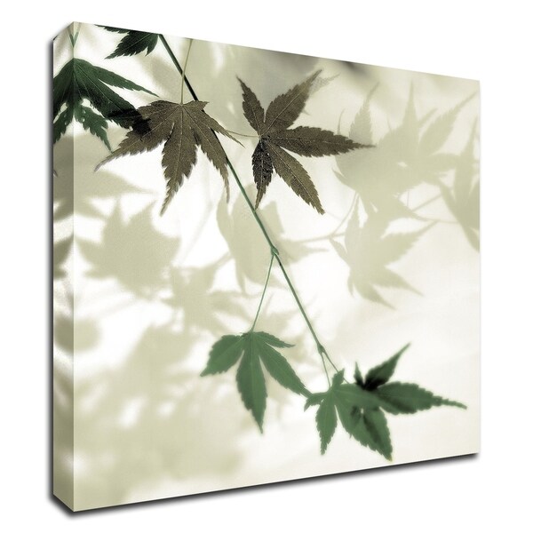 "Japanese Maple 2" by Alan Blaustein, Print on Canvas, Ready to Hang