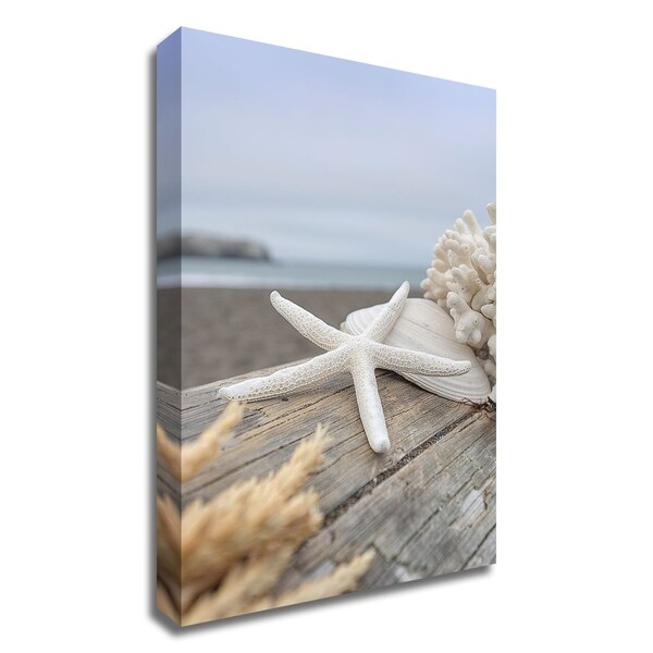 "Crescent Beach Shells 13" by Alan Blaustein, Print on Canvas, Ready to Hang