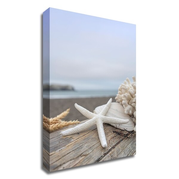 "Crescent Beach Shells 14" by Alan Blaustein, Print on Canvas, Ready to Hang