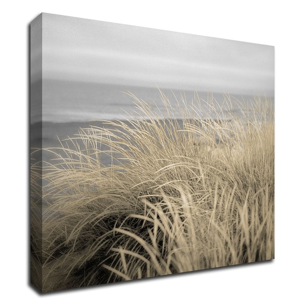 "Tuscan Dunes 2A" by Alan Blaustein, Print on Canvas, Ready to Hang