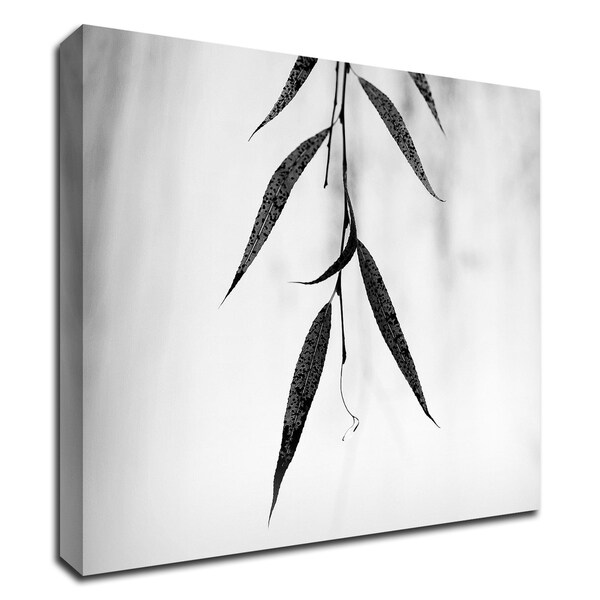 "Willow Print No. 2" by Nicholas Bell, Print on Canvas, Ready to Hang