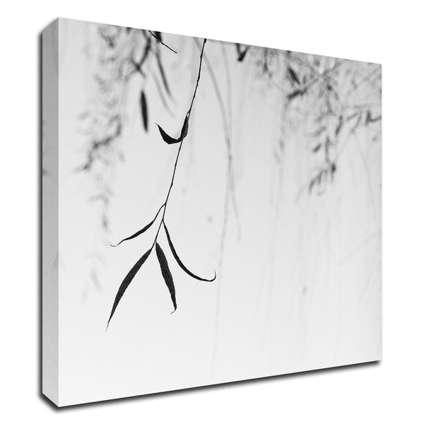 "Willow Print No. 1" by Nicholas Bell, Print on Canvas, Ready to Hang