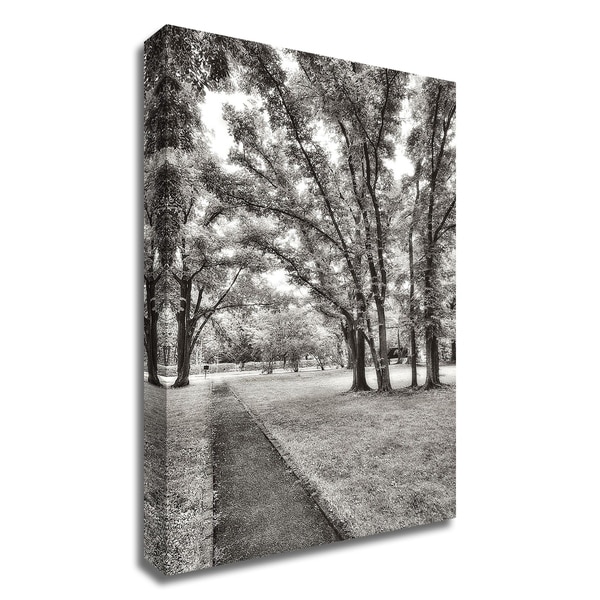 "Garden Pathway No.1" by Alan Blaustein, Print on Canvas, Ready to Hang