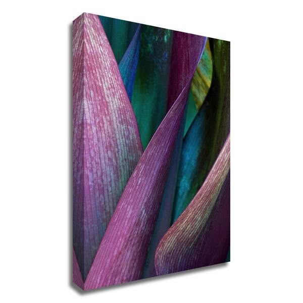 "Deep Purple" by Jean Bryan, Print on Canvas, Ready to Hang