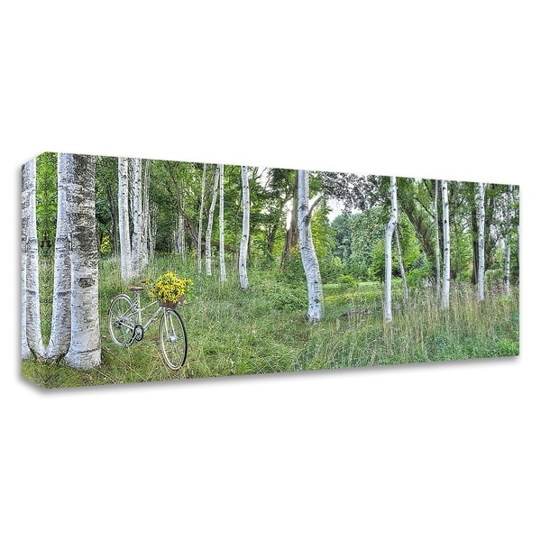 "Sunflower Bike Ride No.4" by Alan Blaustein, Print on Canvas, Ready to Hang