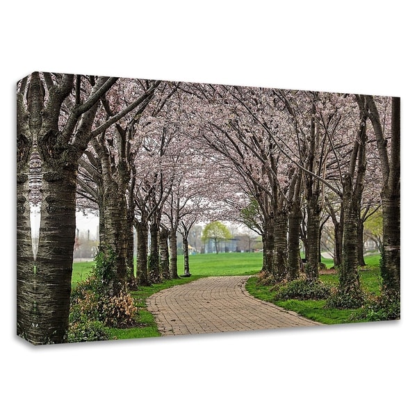 "Cherry Blossom Path" by Chuck Burdick, Print on Canvas, Ready to Hang