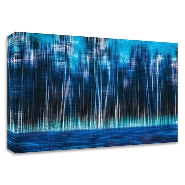 "Mystic Forest" by Hannes Cmarits, Print on Canvas, Ready to Hang