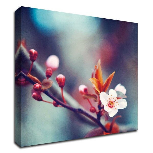 "Nature's Palette" by Carolyn Cochrane, Print on Canvas, Ready to Hang