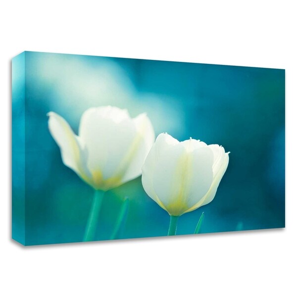 "Charisma" by Carolyn Cochrane, Print on Canvas, Ready to Hang