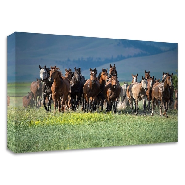 "Montana Thunder" by Lisa Dearing, Print on Canvas, Ready to Hang