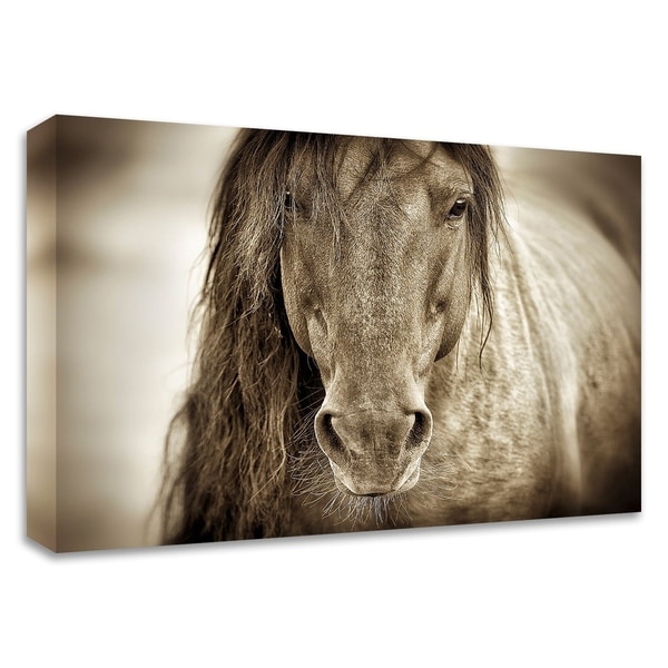 "Mustang Sally" by Lisa Dearing, Print on Canvas, Ready to Hang