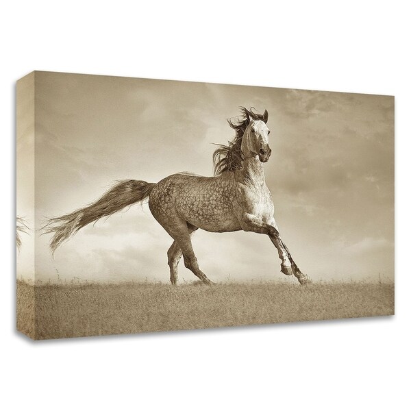 "Like the Wind" by Lisa Dearing, Print on Canvas, Ready to Hang