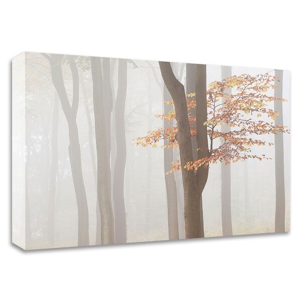 "Arnhem Park Zypendaal" by Wilco Dragt, Print on Canvas, Ready to Hang