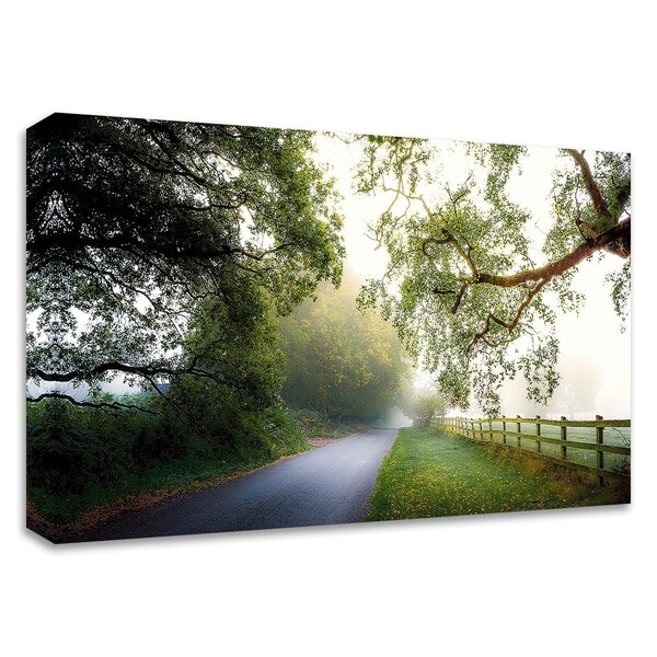 "October's Fog" by Adelino Gonçalves, Print on Canvas, Ready to Hang