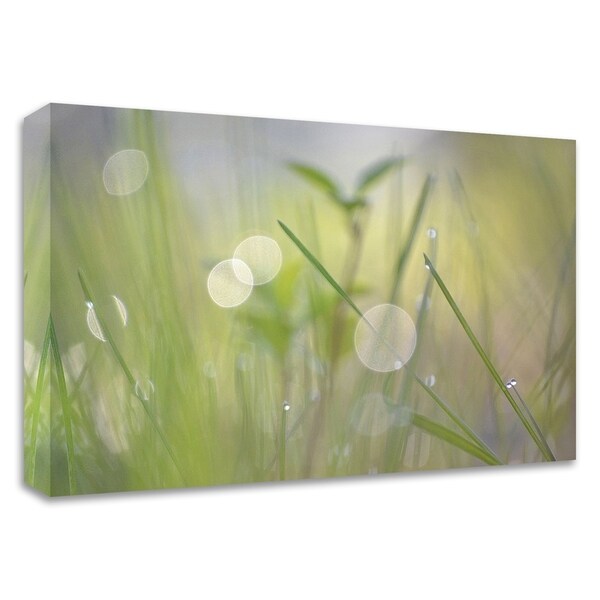 "Morning Light No. 1" by Ulpi Gonzalez, Print on Canvas, Ready to Hang