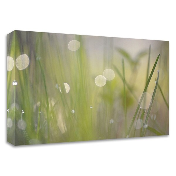 "Morning Light No. 2" by Ulpi Gonzalez, Print on Canvas, Ready to Hang