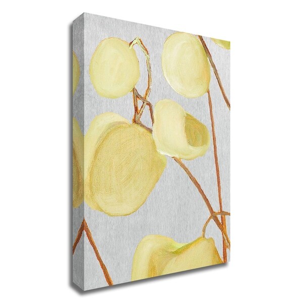 "Milkweed on Pale Gray" by India & Purry, Print on Canvas, Ready to Hang