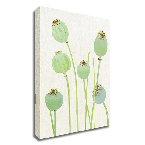 "Poppy Pods on Ecru" by India & Purry, Print on Canvas, Ready to Hang