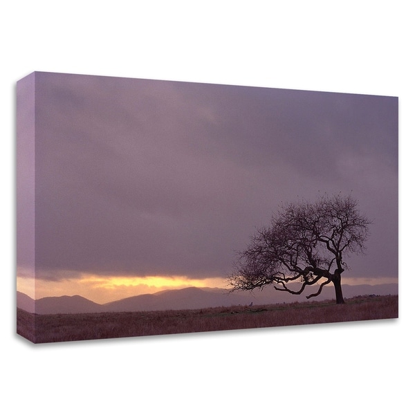 "Field" by PhotoINC Studio, Print on Canvas, Ready to Hang