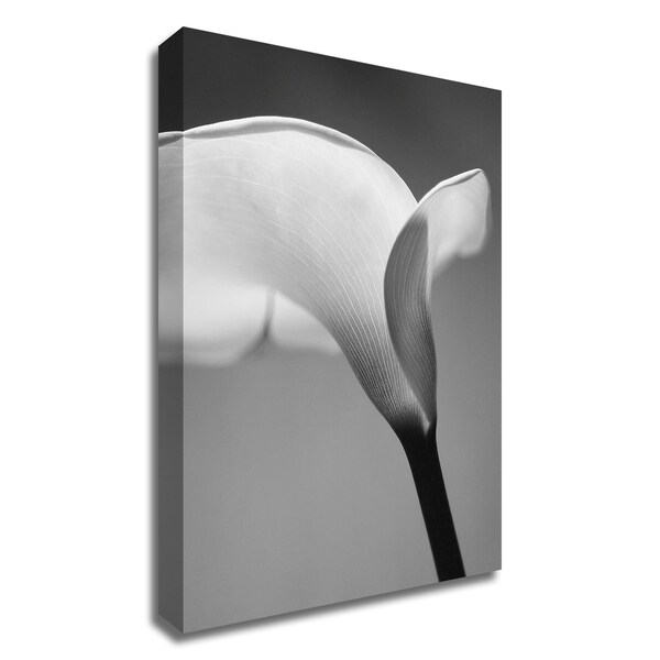 "Calla No. 6" by PhotoINC Studio, Print on Canvas, Ready to Hang