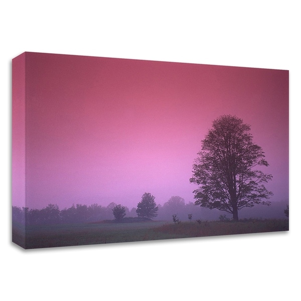 "Evening Fields" by PhotoINC Studio, Print on Canvas, Ready to Hang