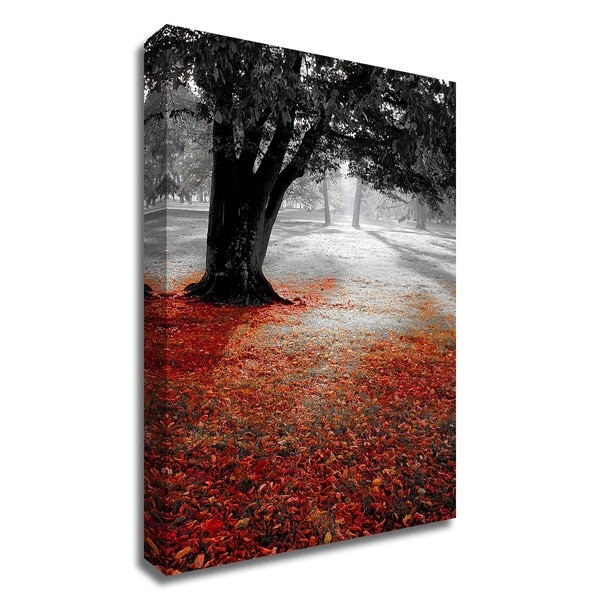 "Autumn Contrast" by PhotoINC Studio, Print on Canvas, Ready to Hang
