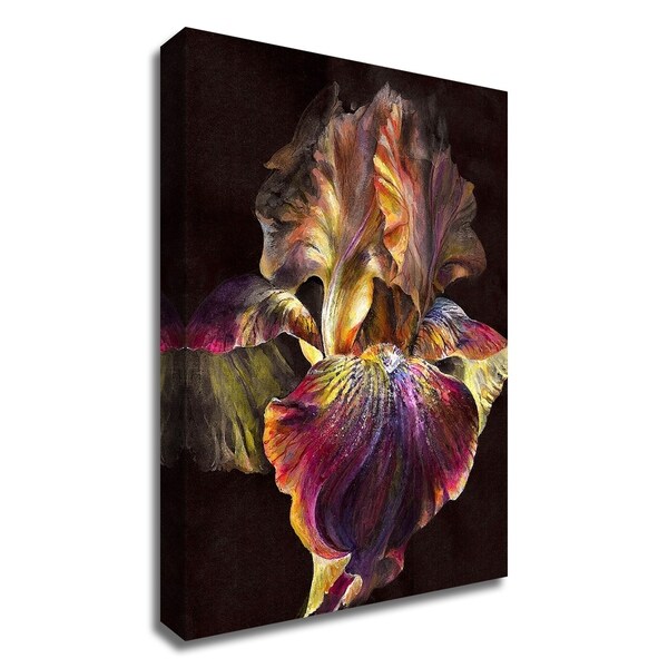 "Iris" by PhotoINC Studio, Print on Canvas, Ready to Hang