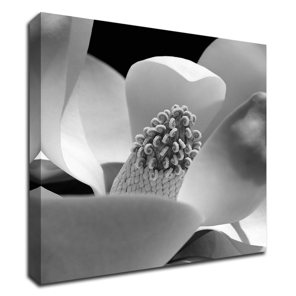 "Fibonacci 1" by PhotoINC Studio, Print on Canvas, Ready to Hang