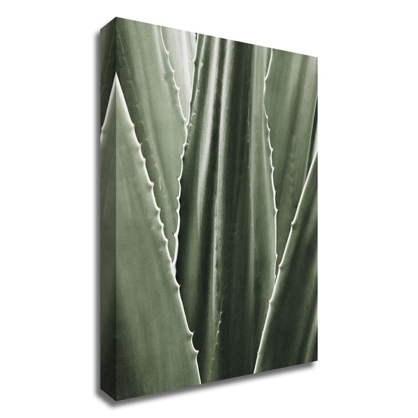 "Leaf I" by Incado, Print on Canvas, Ready to Hang
