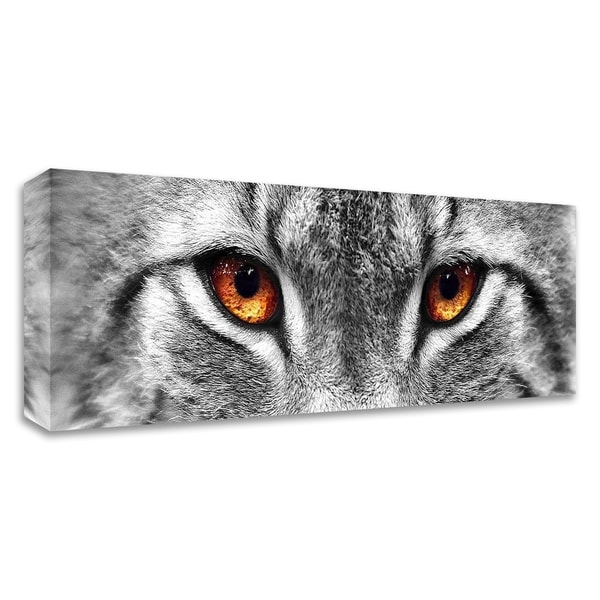 "Lynx" by PhotoINC Studio, Print on Canvas, Ready to Hang