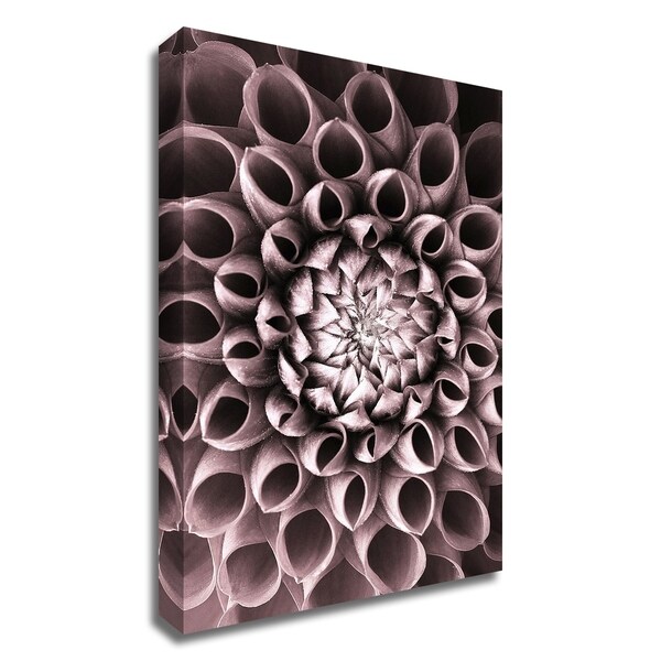 "Just Open" by PhotoINC Studio, Print on Canvas, Ready to Hang