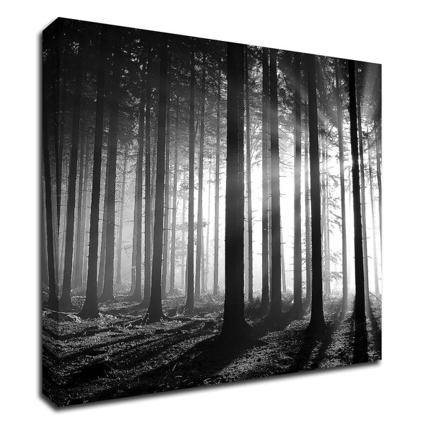 "Wood Light" by PhotoINC Studio, Print on Canvas, Ready to Hang