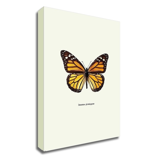 "Yellow Butterfly" by GraphINC, Print on Canvas, Ready to Hang