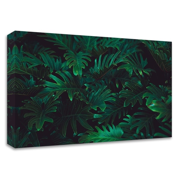 "Tropical 2" by PhotoINC Studio, Print on Canvas, Ready to Hang