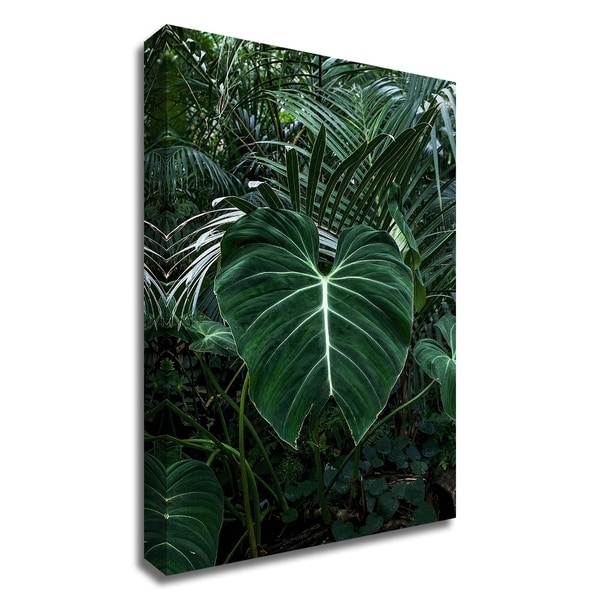 "Tropical 3" by PhotoINC Studio, Print on Canvas, Ready to Hang