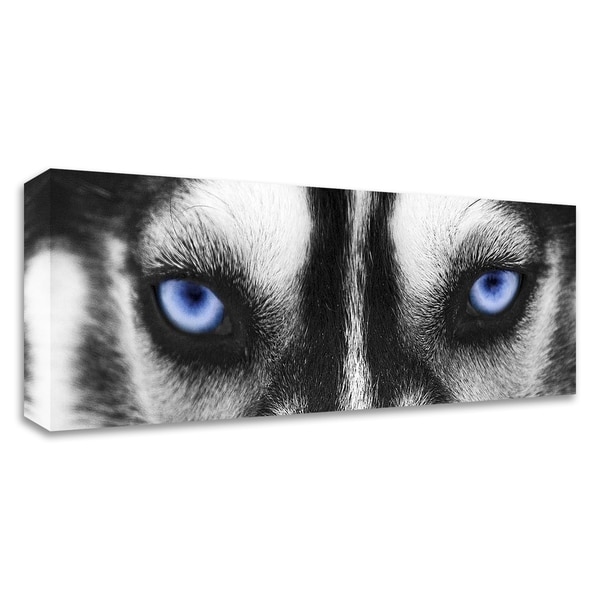 "Husky" by PhotoINC Studio, Print on Canvas, Ready to Hang