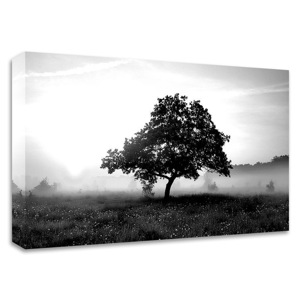 "Solemn Tree" by PhotoINC Studio, Print on Canvas, Ready to Hang