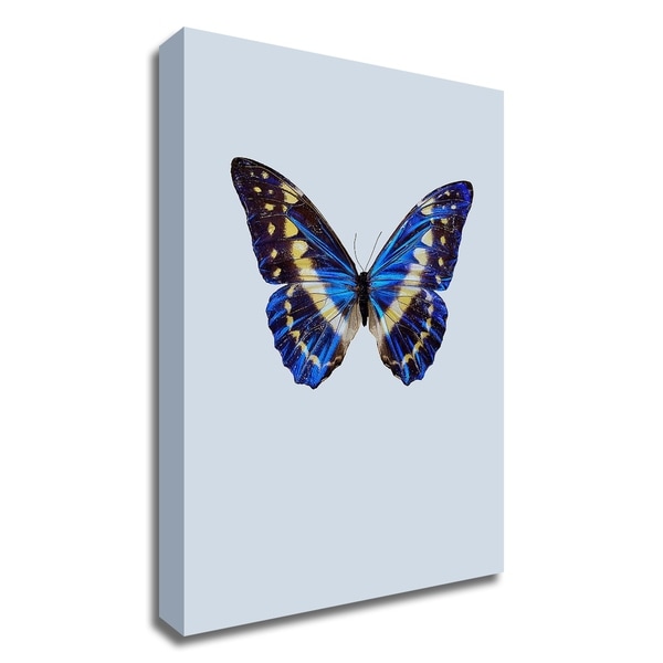 "Blue Butterfly" by Incado, Print on Canvas, Ready to Hang