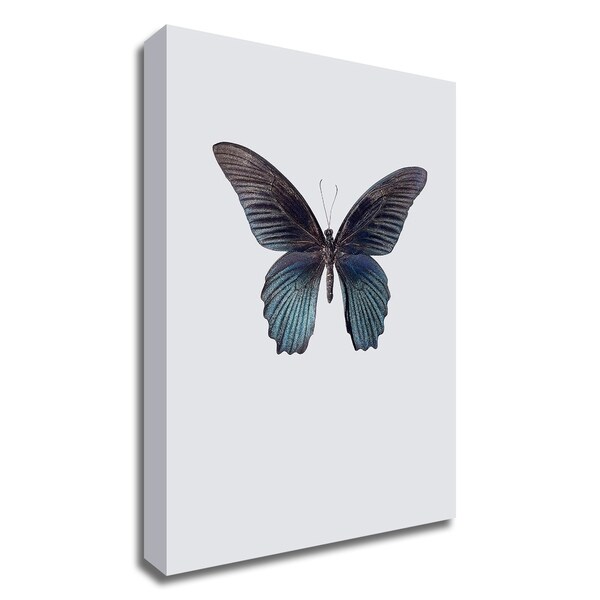 "Great Mormon" by Incado, Print on Canvas, Ready to Hang