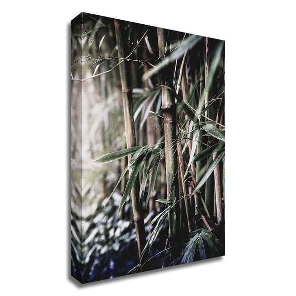 "Leaf III" by Incado, Print on Canvas, Ready to Hang