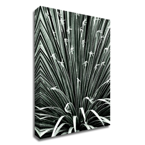 "Leaf V" by Incado, Print on Canvas, Ready to Hang