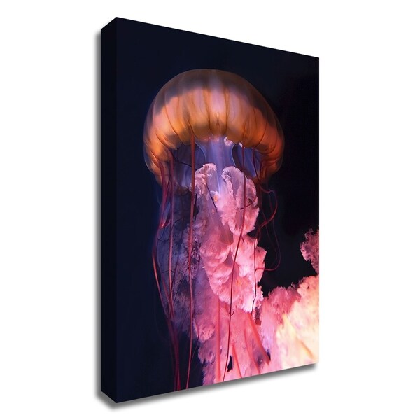 "Gelly" by PhotoINC Studio, Print on Canvas, Ready to Hang